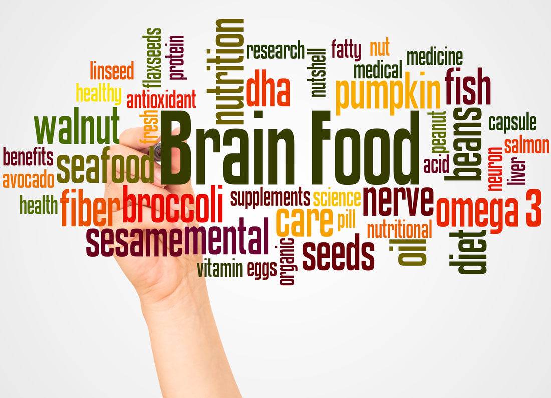 The Hidden Link Between Nutrition and Mental Focus