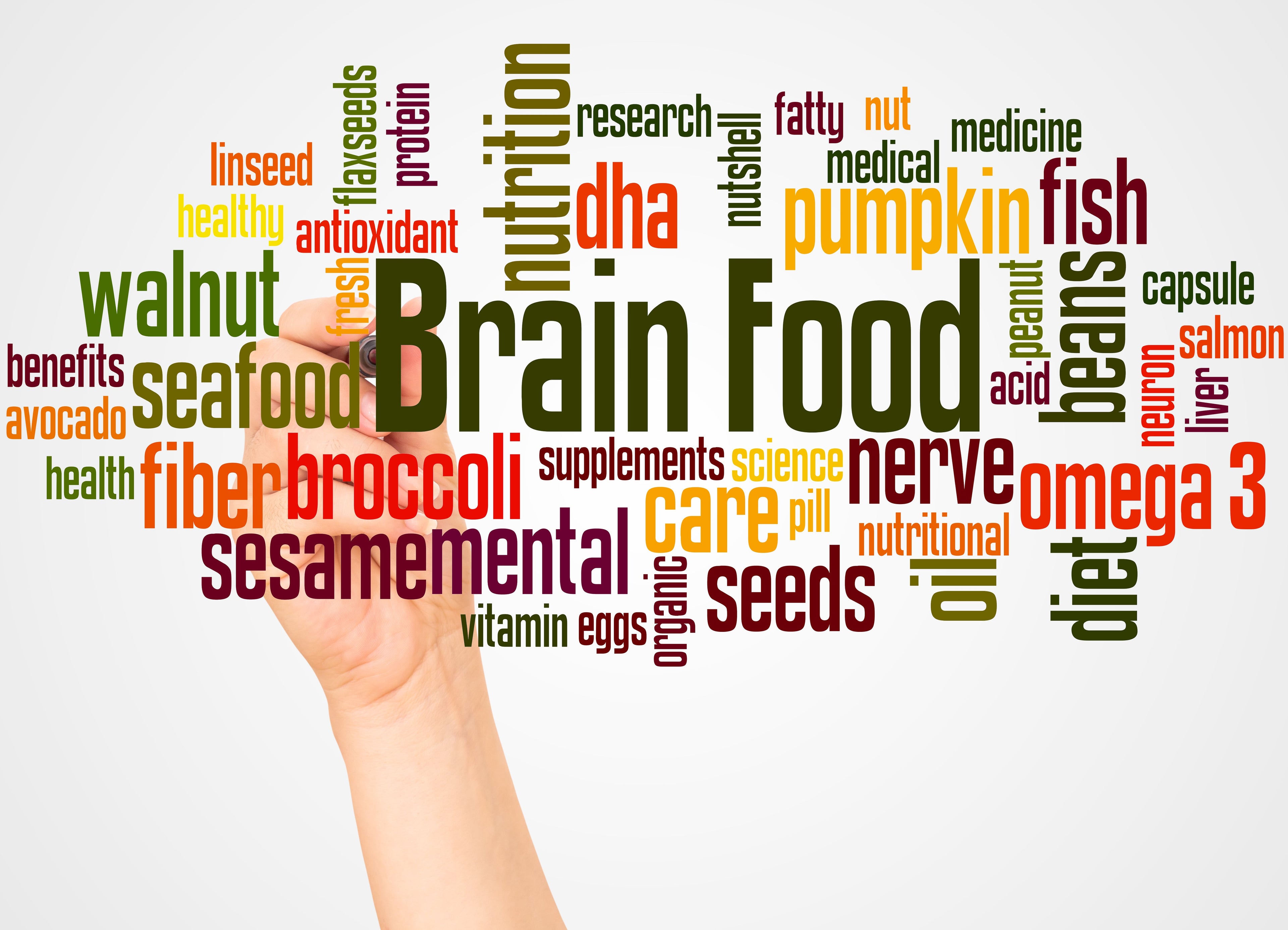 The Hidden Link Between Nutrition and Mental Focus
