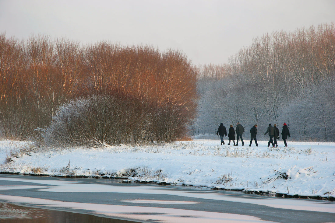 New Year Energy Slumps: Why January Feels Harder Than December